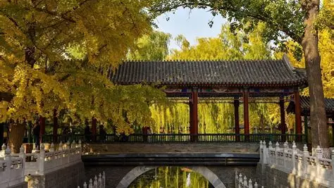 手感初夏：中山公园深度感官漫步